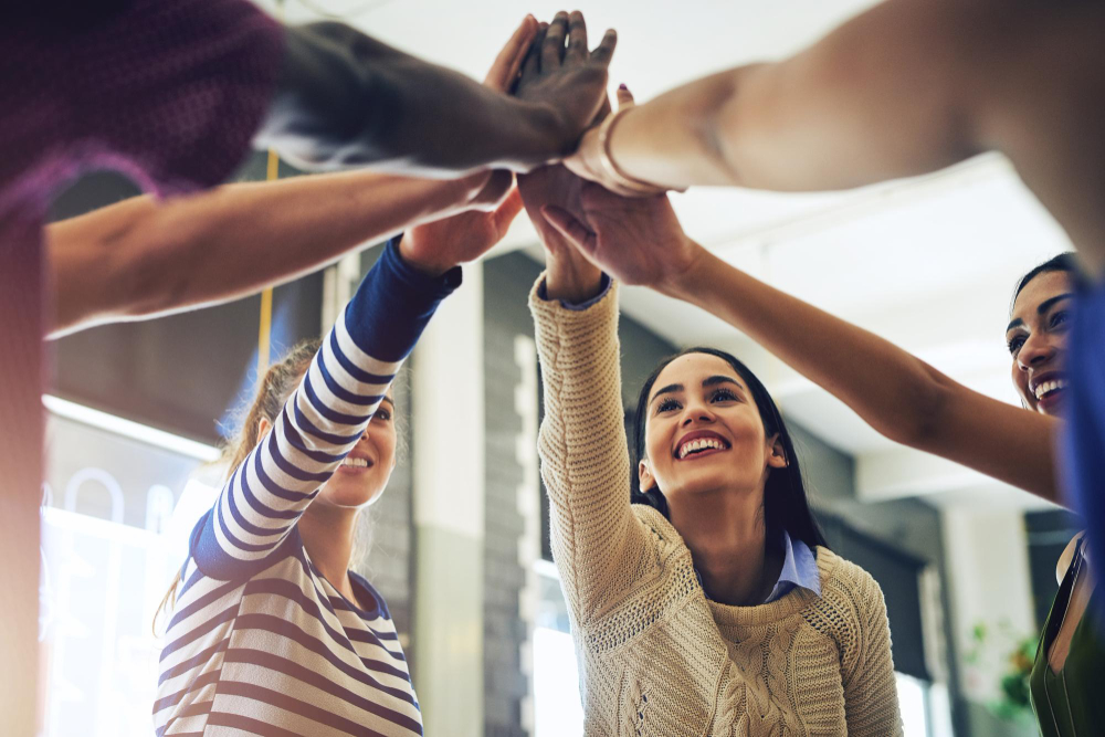 Planos de Gestão para Prefeituras e Instituições